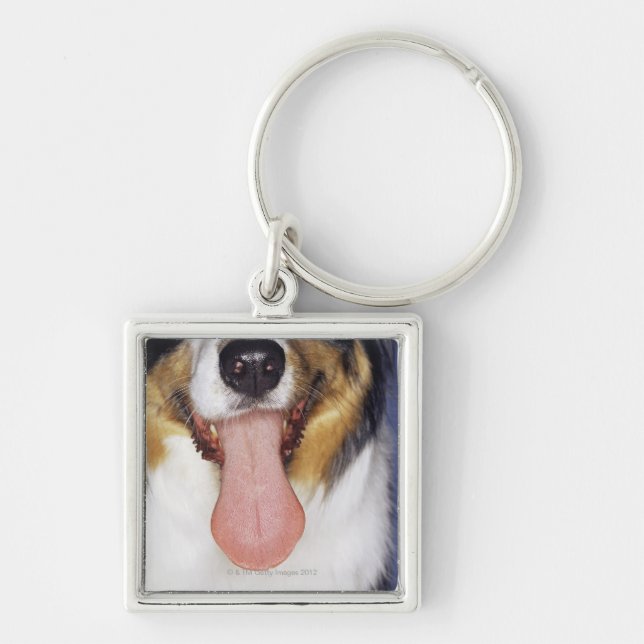 Collie wagging tongue key ring (Front)