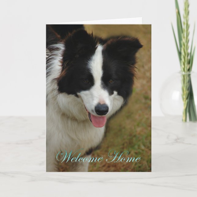 Collie Welcome home. Glad you are home again. Card (Front)