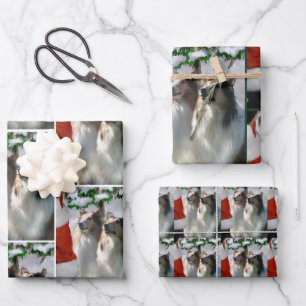 Collies and Santa Christmas Wrapping Paper Sheet