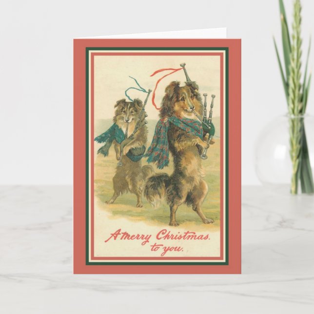Collies Playing Bagpipes Holiday Card (Front)