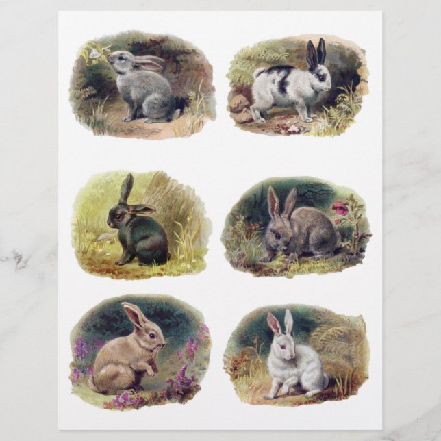 Colllection of Vintage Bunnies by H. Maguire (Front)
