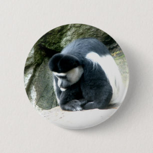 Colobus 6 Cm Round Badge