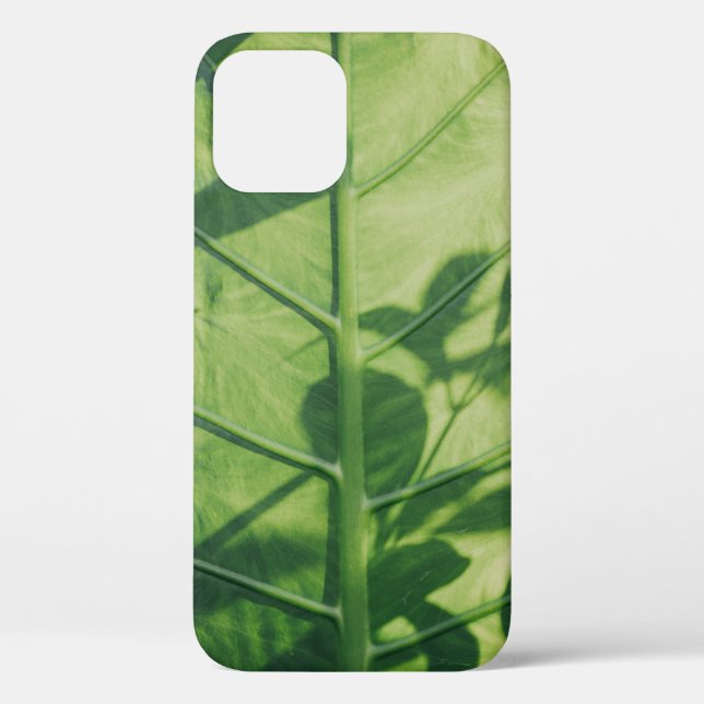 Colocasia esculenta leaf Case-Mate iPhone case (Back)