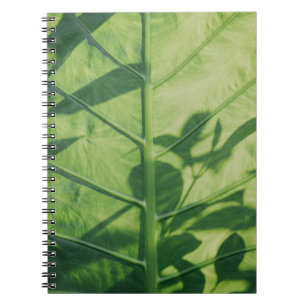 Colocasia esculenta leaf notebook