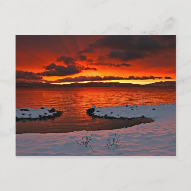 Coloful Lake Tahoe Sunrise... Postcard (Front)