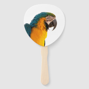 coloful Parrot Hand Fan