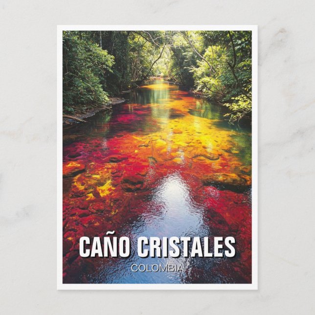 Colombia Cano Cristales Travel Postcard (Front)