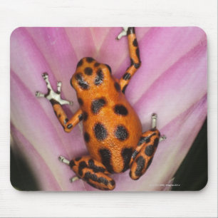 Colon Isle Dart Frog, Oophaga pumilio Mouse Mat