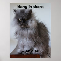 Colonel Meow Hang In There