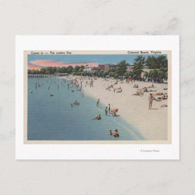 Colonial Beach, VA - Sunbathing & Swimming Scene Postcard (Front)