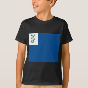 Colonial Privateer Flag (Connecticut Naval Ensign) T-Shirt