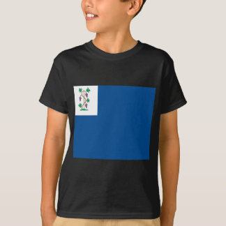 Colonial Privateer Flag (Connecticut Naval Ensign) T-Shirt
