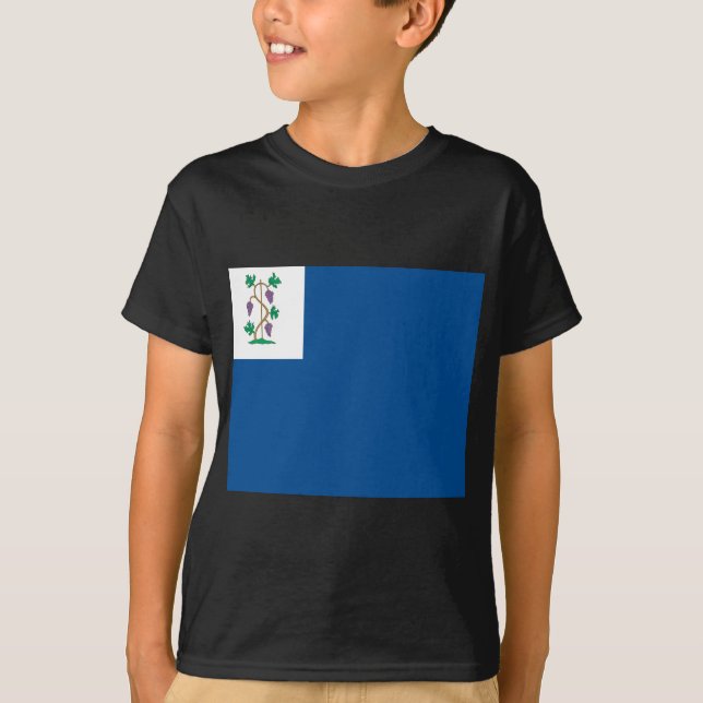 Colonial Privateer Flag (Connecticut Naval Ensign) T-Shirt (Front)