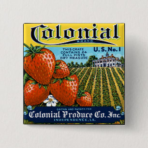 Colonial Strawberries 15 Cm Square Badge