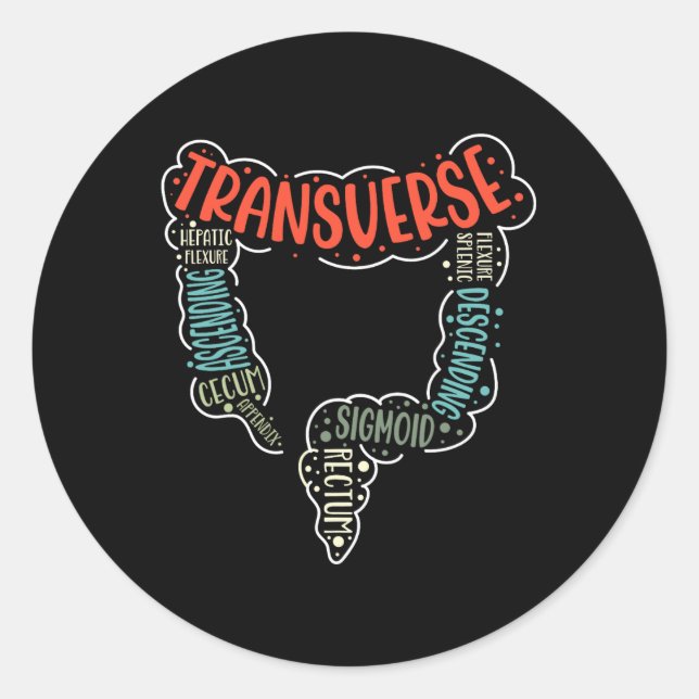 Colonoscopy Gi Funny Endoscopy Nurse Colon Anatomy Classic Round Sticker (Front)