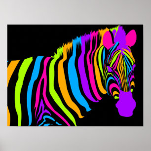 Color Burst Zebra Poster