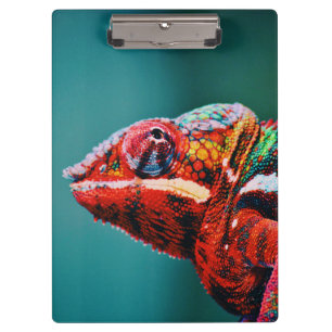 Color Changing Rainbow Chameleon Reptile Clipboard