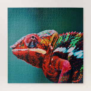 Color Changing Rainbow Chameleon Reptile Jigsaw Puzzle