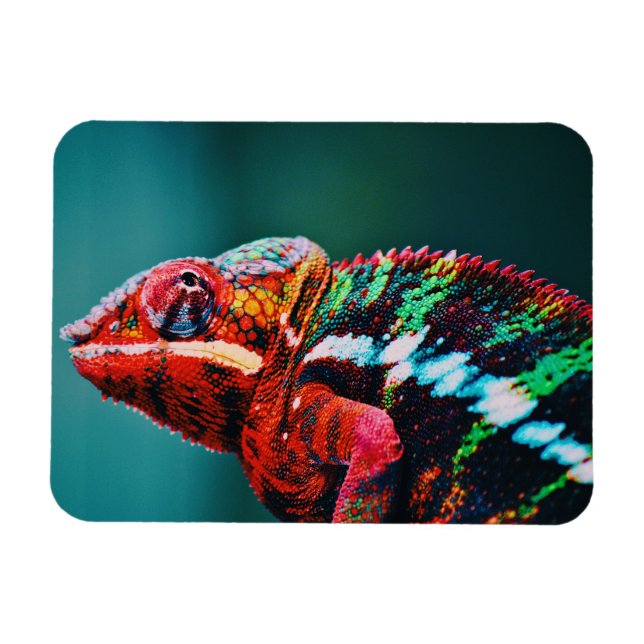 Color Changing Rainbow Chameleon Reptile Magnet (Horizontal)