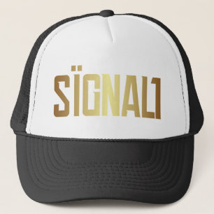 Color logo - no background trucker hat