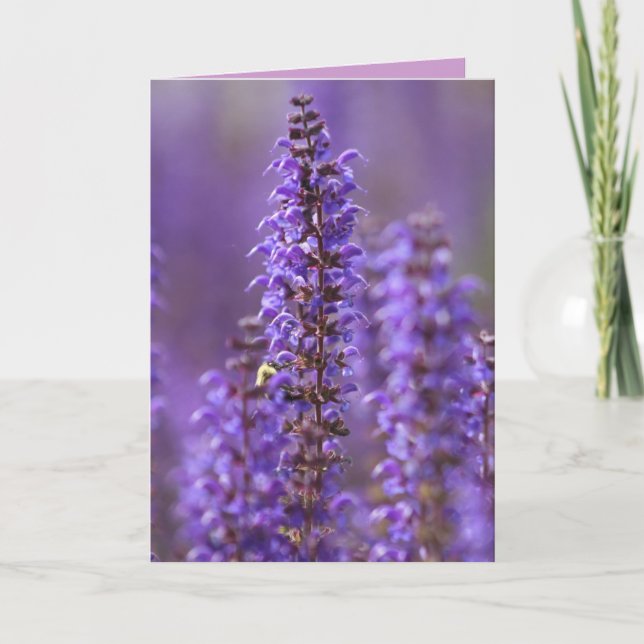 Color of Summer Blank Greeting Card (Front)