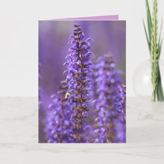 Color of Summer Blank Greeting Card