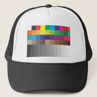 COLOR SWATCH AND GRAY SCALE TRUCKER HAT