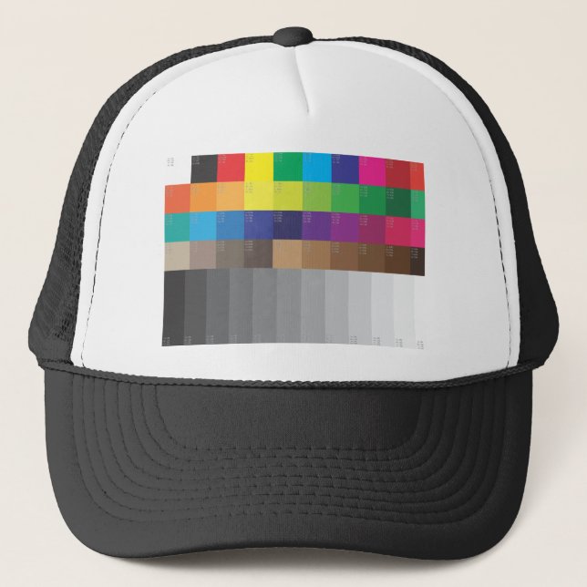 COLOR SWATCH AND GRAY SCALE TRUCKER HAT (Front)