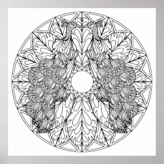 Color Your Own Peacocks Mandala Coloring Poster