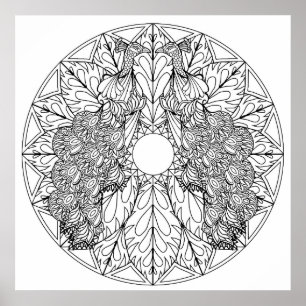 Color Yourself Mandala Poster Art Peacocks Birds