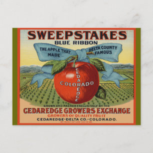 Colorado Apple Design Postcard