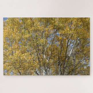 Colorado Aspen Fall Colours Jigsaw Puzzle