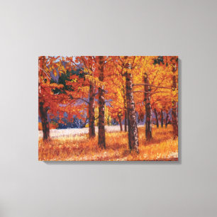 Colorado Aspens in Vibrant Autumn Splendour Canvas Print