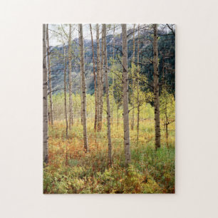 Colorado, Autumn colours of aspen trees Jigsaw Puzzle