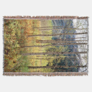 Colorado, Autumn colours of aspen trees Throw Blanket