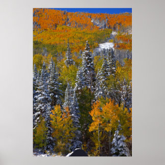 Colorado Autumn Poster