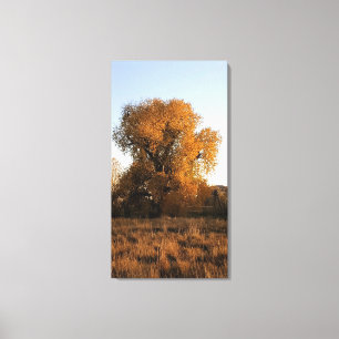 Colorado Beauty Canvas Print