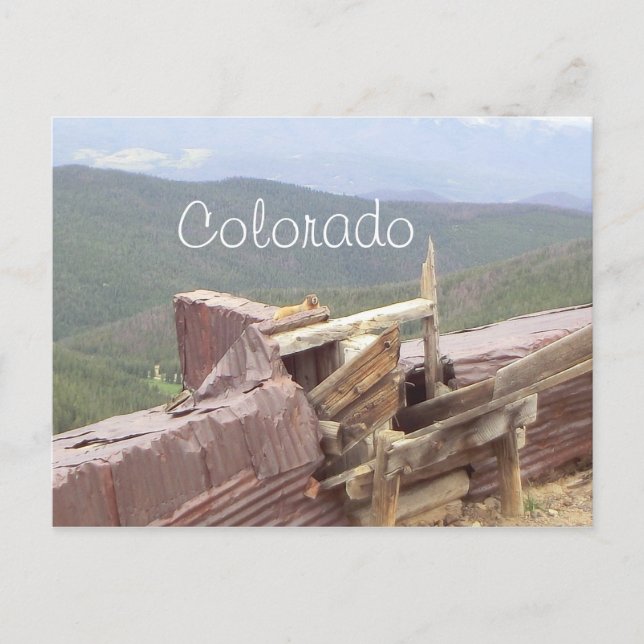 Colorado beaver postcard (Front)