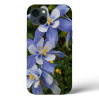 Colorado Blue Columbine near Telluride Colorado