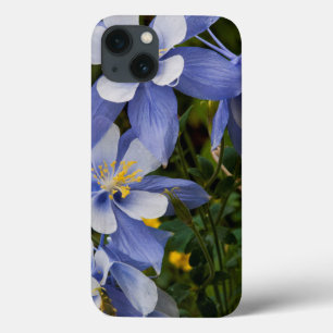 Colorado Blue Columbine near Telluride Colorado iPhone 13 Case