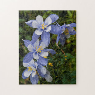 Colorado Blue Columbine near Telluride Colorado Jigsaw Puzzle