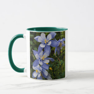 Colorado Blue Columbine near Telluride Colorado Mug