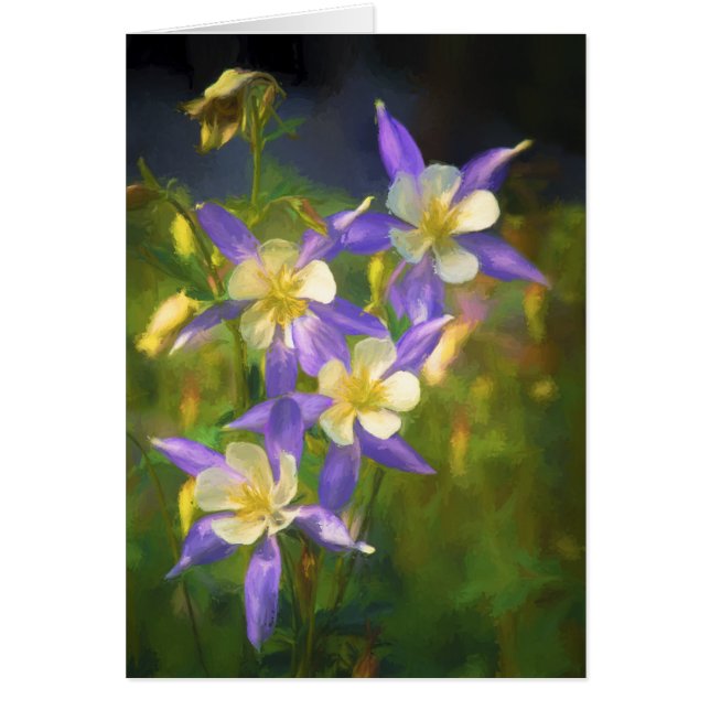 Colorado Blue Columbine Painting - Original Art (Front)