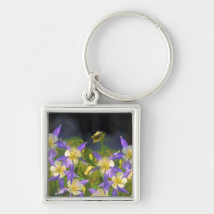 Colorado Blue Columbine Painting - Original Art Key Ring