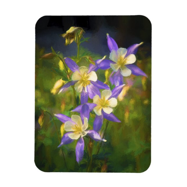 Colorado Blue Columbine Painting - Original Art Magnet (Vertical)