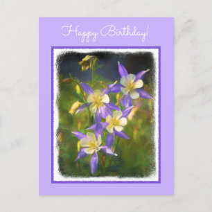 Colorado Blue Columbine Painting - Original Art Postcard