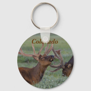 Colorado Bugling elk key chain