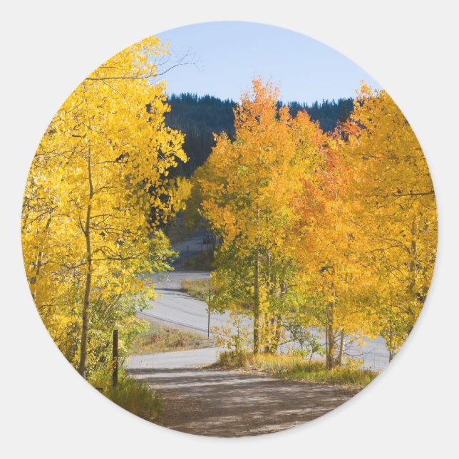 Colorado Colour Stickers (Front)