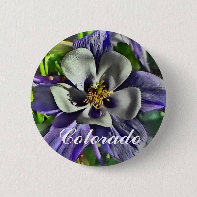 Colorado columbine button (Front)
