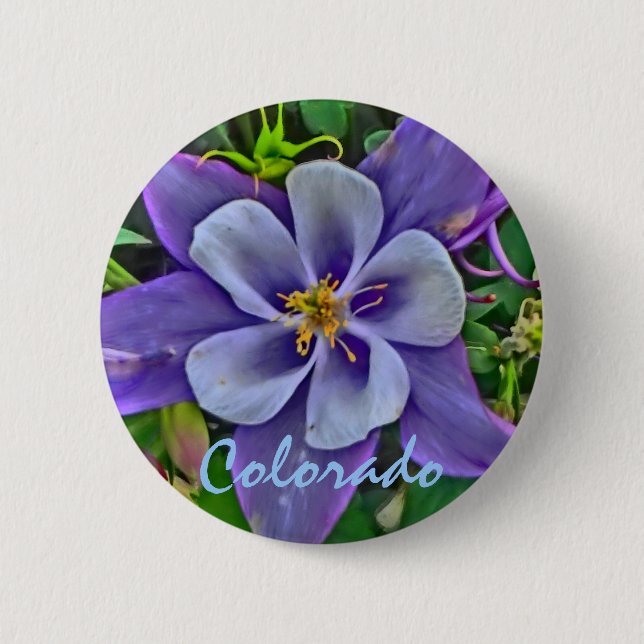 Colorado columbine button (Front)